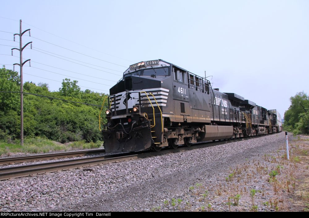 NS 4611 close up on 29G